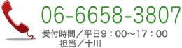 TEL06-6658-3807